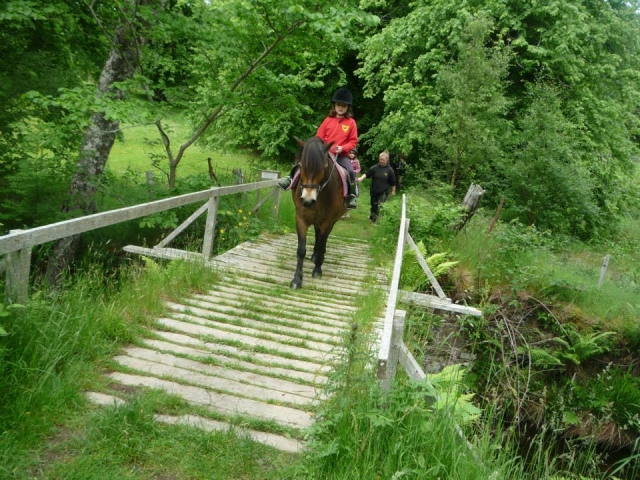  Caminamarras 
